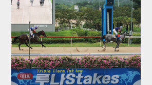 [경마 단신] ‘화이트퀸’, 제1회 루나Stakes 우승 外