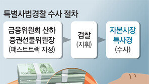 기대 못미친 금감원 특사경 출범 1년… 유죄판결 사건 1건뿐