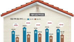 서울 주택 45%가 노후… 강남지역-새 아파트 여전히 공급 부족