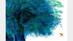 [그림책 한조각]솔새와 소나무