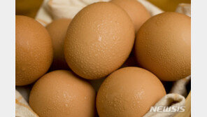법원 “달걀 투척은 폭행보다 더 모욕적”…벌금 250만원