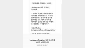 개그맨 안영미, SNS 해킹 시도 DM 공개 “아오 죽여벌라”