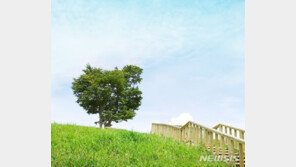 북적이는 관광명소 대신에….안전한 ‘비대면’ 국내 여행지는 어디