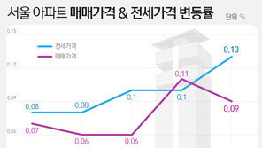 강남불패냐 대책효과냐…규제·공급 신호에 서울집값 어디로?