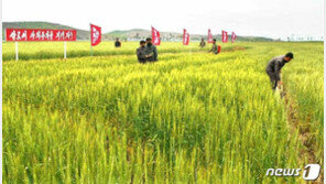 유엔 대북제재위, 농기계 반출 이탈리아 NGO 제재 면제 연장