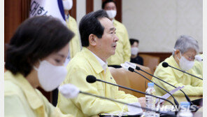 정세균 총리 “8월17일 임시공휴일 지정 검토…올해 휴일 적다”