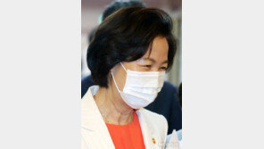 추미애, ‘부동산 정책’ 또 언급…“법무장관도 입장표명 가능”