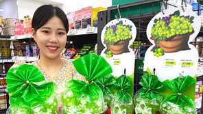 세븐일레븐 “샤인머스캣 젤리 맛보세요”