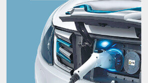 정부, 이르면 내년부터 고가 전기차 보조금 지원 중단 검토