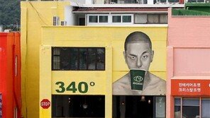 조명거리의 반항아[고양이 눈]