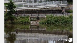 [날씨]출근길 빗길 조심…오전까지 천둥·번개 동반 20㎜ 강한 비