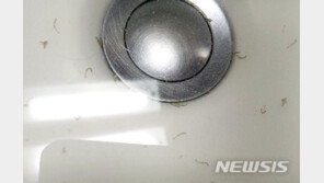 서울에서도 수돗물 유충 발견 신고…확산 우려에 관련주 강세