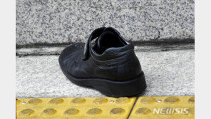 野 “신발투척 영장 기각 당연… 침묵한 文대통령 속 좁아”