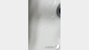 부산 수돗물에서도 유충 발견…신고 11건 접수