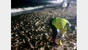 집합제한 무색…주말 동해안 해수욕장 오히려 쓰레기 늘어