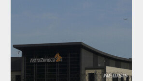 존슨 총리 “올해 안에 성공적 백신 갖기 어려워”