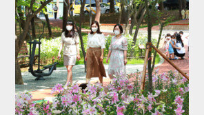 대구 지자체들, 코로나 극복 돕는 도심공원 조성 활기