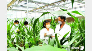 북한 “무엇을 해도 세계적이어야”…‘세계적 경쟁력’ 강조