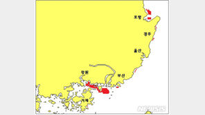 동해남부해역서 ‘무해성 적조’ 발생…“장마 영향 당분간 지속”