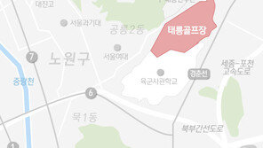 태릉골프장+육사+담터지구 5만가구…공급카드 만지작