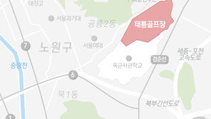 태릉골프장+육사+담터지구 5만가구…공급카드 만지작
