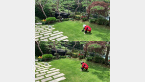 하희라, 럭셔리 자택 정원서 잔디 깎는 최수종에 “오빠 좀 쉬어”…달달