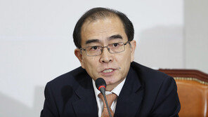 태영호 “南 1조원 넘게 빌려줬는데…北 ‘배째라’ 한다”