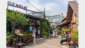 [김재범 기자의 투얼로지] 호캉스·수제맥주·한강…도심 속 힐링 떠나요