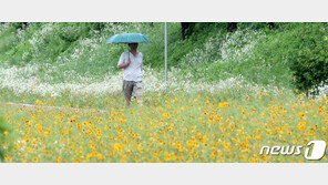 [날씨] 연중 가장 더운 ‘대서’ 무더위 계속…남부지방 비