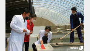 “새끼 복어 20만 마리 방류”…北, 수산자원 확보에 박차