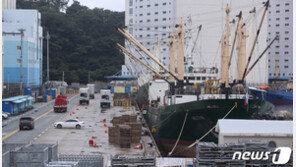 부산항 입항 러 선박서 또 확진자 1명 나와…한 달 새 43명