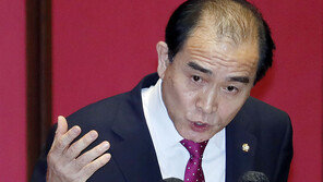 태영호 “종전선언은 北 핵보유 인정”…丁총리 “전쟁 상태 원하나”