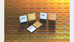 차세대 초고속 D램 본격 양… 128단 낸드플래시로 승부수