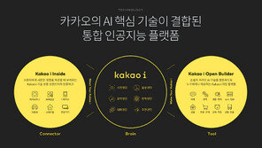 가전-문화-레저 등 전방위로 AI 기술 확산