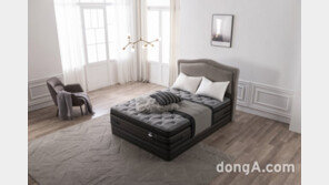 매트리스 브랜드 ‘씰리’, 작년 美 점유율 1위… 8년 만에 탈환