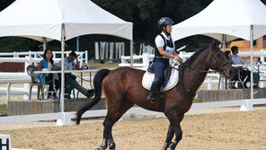 [경마 단신] 청담도끼, 2000m 2분 4초 3 신기록 外