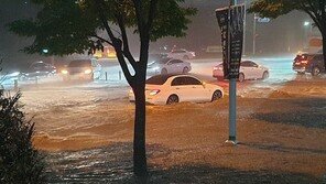 부산 시간당 최대 80mm ‘물폭탄’…침수·붕괴 피해 속출