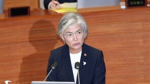 강경화, 배우자 소유 오피스텔 매각 이어 모친 거주 다세대주택도 처분키로