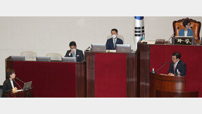 文정부 집값 폭등 추궁에… 김현미 “前정권 부동산규제 완화 탓”