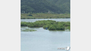 구멍 난 하늘…전국 곳곳 침수·붕괴 등 비 피해 속출