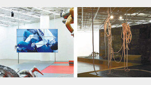 개인전 3개 동시에… 전시회 갈증 푼다