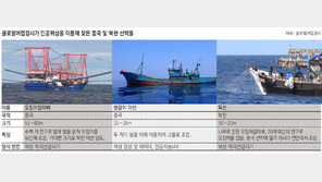 “中어선, 동해 북한 수역서 오징어 5200억원어치 잡아들였다”