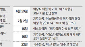 이스타항공, 구제냐 청산이냐 기로에… 1500명 대량실직 위기