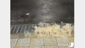 시간당 81.6mm 물폭탄 떨어진 부산 아수라장…3명 사망