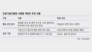 “벌점폭탄 피하려면 회사 쪼개란거냐”