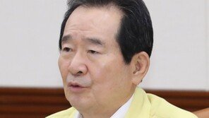 丁 총리 “프로야구 관중 입장 재개…최소 인원부터”
