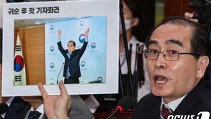 ‘인민재판’ ‘색깔론’ ‘어이없다’ 화난 민주당…“태영호 징계하라”