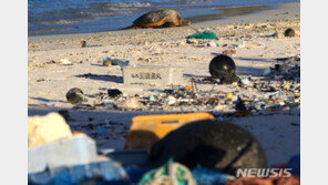 20년 뒤 세계 플라스틱 쓰레기 7억t…“대량축적 불가피”