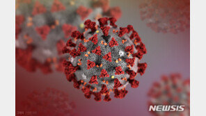 CDC “건강한 젊은이도 경증 코로나 감염 시 회복에 3주 이상 걸려”