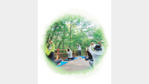 코로나 영웅들’ 숲에서 힐링하세요